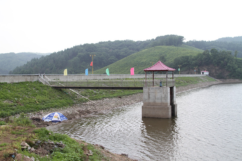 黄金水库